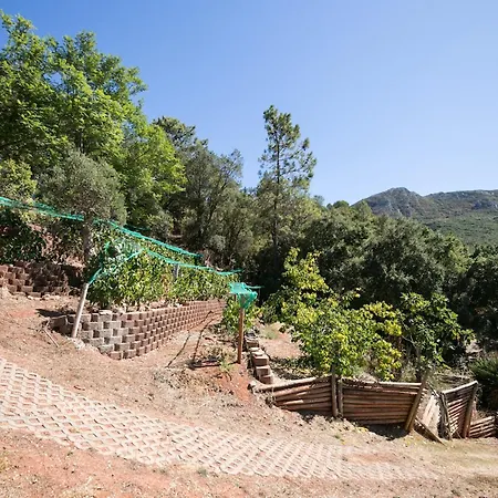 Akivillas Arrabida In * Setúbal